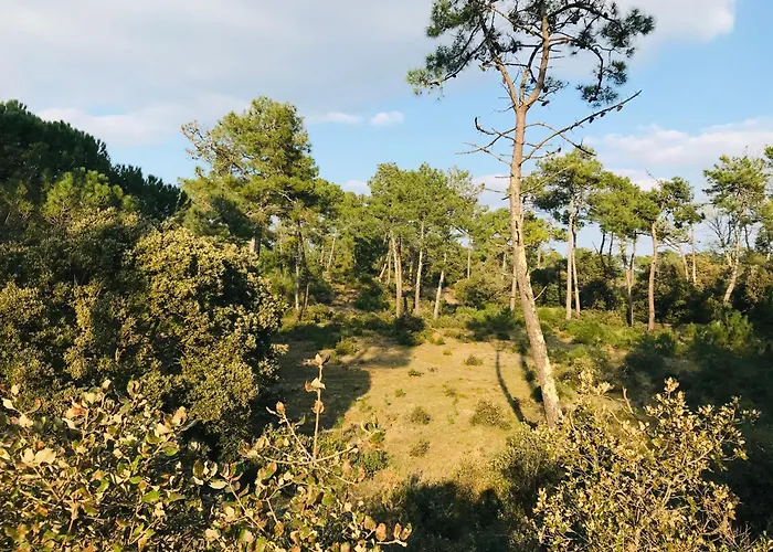 Le Lumina Du Centre Bourg 아파트 생장드몽